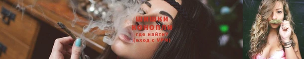 сатива Надым